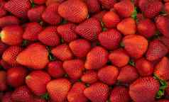 背景新鲜的有机草莓