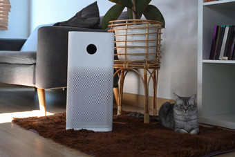可爱的猫空气<strong>净化器</strong>数字监控屏幕地板上生活房间空气污染概念