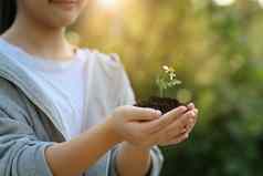 女孩持有年轻的植物手模糊绿色自然背景阳光地球一天生态概念
