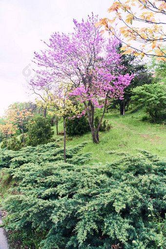 国家植物花园第比利斯植物世界