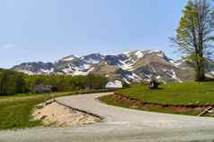 孤独的房子绿色草地背景山雪黑山共和国