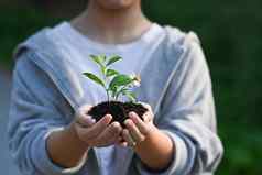孩子持有年轻的植物土壤手储蓄世界生态地球一天概念