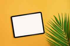 模型数字平板电脑热带棕榈叶子黄色的背景夏天假期概念
