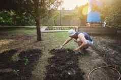 农民植物发芽幼苗花圃黑色的土壤生长有机蔬菜开放场太阳的射线秋天花园生态农业园艺概念