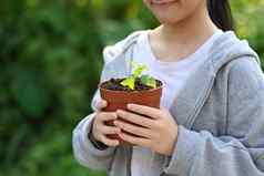女孩持有盆栽植物模糊绿色自然背景保存世界环境一天保存环境地球一天