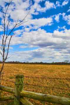 春天农田木栅栏有倒钩的线毛茸茸的云蓝色的天空开销