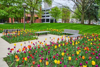 春天弗莱曼广场市中心堡韦恩<strong>印第安</strong>纳州色彩斑斓的郁金香花园