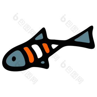 彩色的海鱼插图白色背景