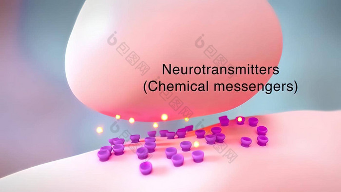 神经递质化学使者身体