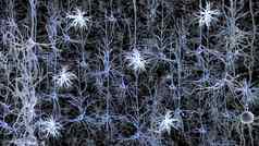 神经元行动电冲动神经元连接