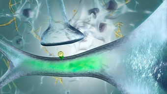 神经递质化学物质发布神经