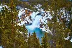 松树框架宁静蓝色的瀑布冬天黄石公园