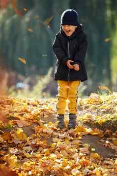 快乐孩子有趣的秋天森林公园秋天一天