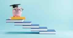 教育概念设计小猪银行眼镜穿毕业帽书楼梯渲染