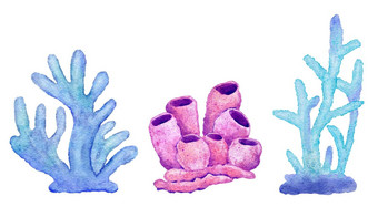 水彩插图珊瑚<strong>蓝色</strong>的绿松石紫色的颜色海洋海水下野生动物动物航海夏天海滩设计澳大利亚礁生活自然自然环境<strong>剪纸</strong>艺术