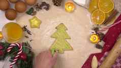 年轻的女人装修节日圣诞节饼干形式圣诞节树彩色的糖衣视图