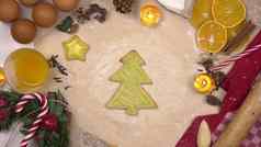年轻的女人装修节日圣诞节饼干形式圣诞节树彩色的糖衣视图