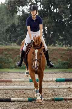 湾马骑师女孩跳障碍马骑手跳运动空气马术竞争雨