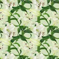 热带花光绿色无缝的模式白色莉莉