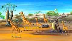 非洲长颈鹿家庭走萨凡纳