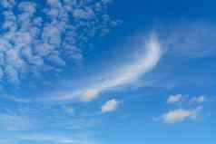 美丽的蓝色的夏天天空白色卷积云云背景Cloudscape背景蓝色的天空毛茸茸的白色云阳光明媚的一天不错的天气夏天美自然夏天阳光明媚的天空