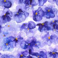 紫色的花三色紫罗兰水彩无缝的模式