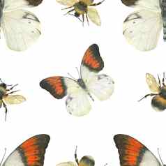 水彩白色装饰无缝的模式Hebomoia蝴蝶