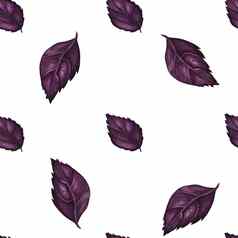 素食主义者水彩无缝的模式紫色的罗勒
