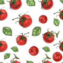 素食主义者水彩无缝的模式罗勒番茄