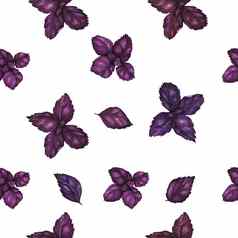 素食主义者水彩无缝的模式紫色的罗勒