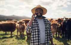 简单的连接更广泛的农业社区拍摄成熟的男人。智能手机工作牛农场