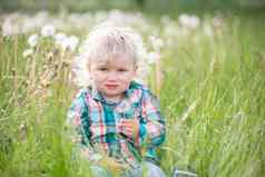 假期童年金发碧眼的男孩蒲公英一年婴儿坐着草孩子草地
