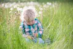 假期童年金发碧眼的男孩蒲公英一年婴儿坐着草孩子草地