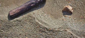 水平横幅自顶向下视图桑迪海滩浮木岩石