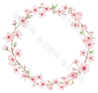 轮框架分支樱桃开花插图水彩<strong>绘画樱花</strong>花环孤立的白色日本花
