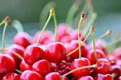 美丽的红色的新鲜的樱桃健康的食物水果概念有机健康的生活方式