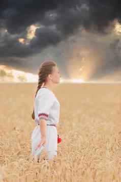女孩乌克兰国家服装小麦场