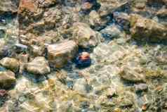 岩石色彩斑斓的壳牌水下拍摄梦幻效果荡漾水波