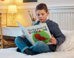 日益增长的聪明的孩子拍摄年轻的男孩阅读书恐龙卧室首页