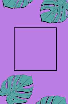 框架热带叶子monstera紫罗兰色的背景空间文本