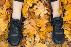 特写镜头休闲女人体育运动鞋子秋天叶子