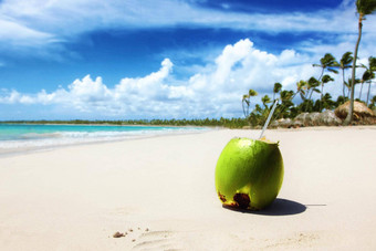 夏天椰子鸡尾酒海滩阳光明媚的一天局部岛