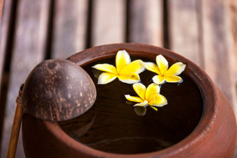 粘土壶花plumeria鸡蛋花装饰水碗Zen风格水疗中心冥想情绪