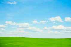 数字作文绿色草地蓝色的天空
