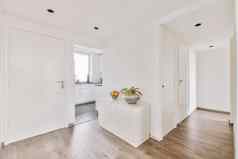 宽敞的明亮的白色厨房走廊