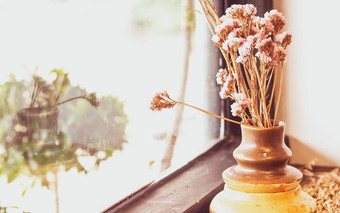 小植物能显示窗口花束花窗口窗帘生活方式生活首页的想法