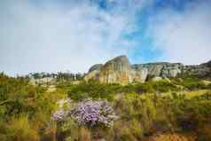景观视图岩石巨石木湾角小镇南非洲夏天假期假期探索风景优美的自然远程徒步旅行小道新鲜的紫色的花绿色风景