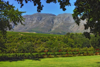 景观视图葡萄园山酒国家有机可持续发展的环境房<strong>地产</strong>种植园日益增<strong>长</strong>的葡萄酒精行业南非斯泰伦博斯西方角南非洲夏天