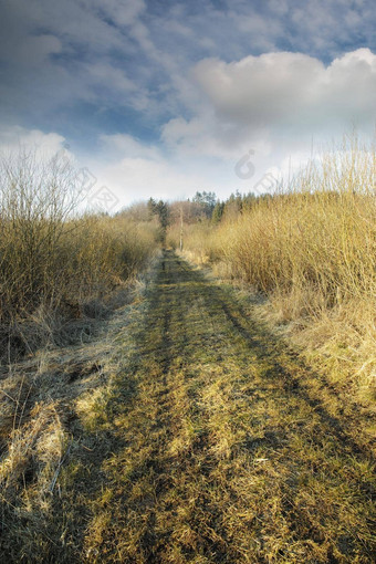 污垢路沼泽土地早期春天沼泽土地湿地多云的蓝色的天空自然湿泥泞的路径场农村丹麦