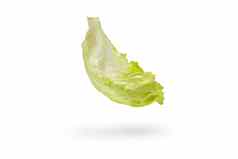冰山生菜绿色叶子孤立的白色背景新鲜的生菜叶滴影子成分汉堡包